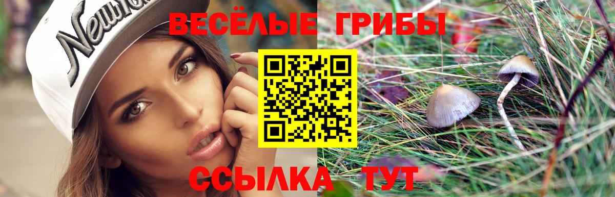 Гурьевск  Галлюциногенные грибы MAGIC MUSHROOMS  Вход с VPN 